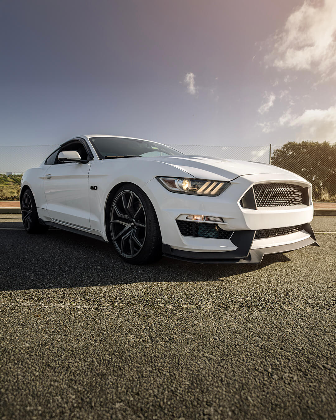 Ford Mustang GT 5.0 V8 50 Aniversario blanco fotografiado en Madrid con parrilla estilo Shelby GT350 y pack Performance.